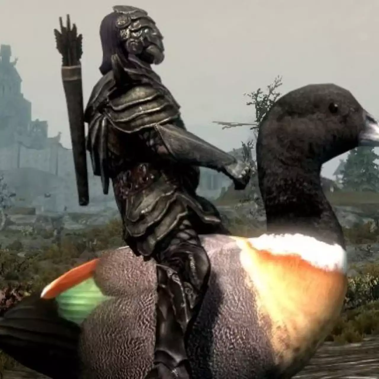 В Skyrim добавили ездовых петухов, уток и фламинго В Skyrim добавили ездовых петухов, уток и фламинго