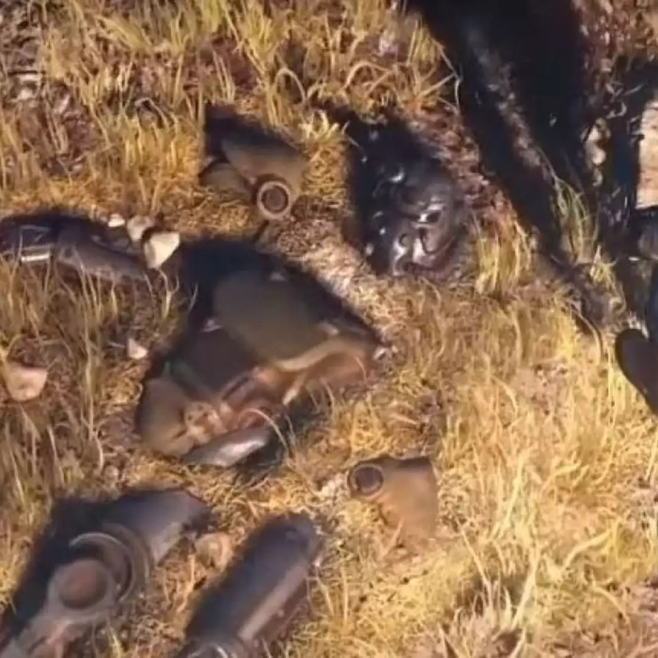 Microsoft показала геймплейный трейлер Fallout 76. Игра в 4 раза больше, чем Fallout 4 Microsoft показала геймплейный трейлер Fallout 76. Игра в 4 раза больше, чем Fallout 4