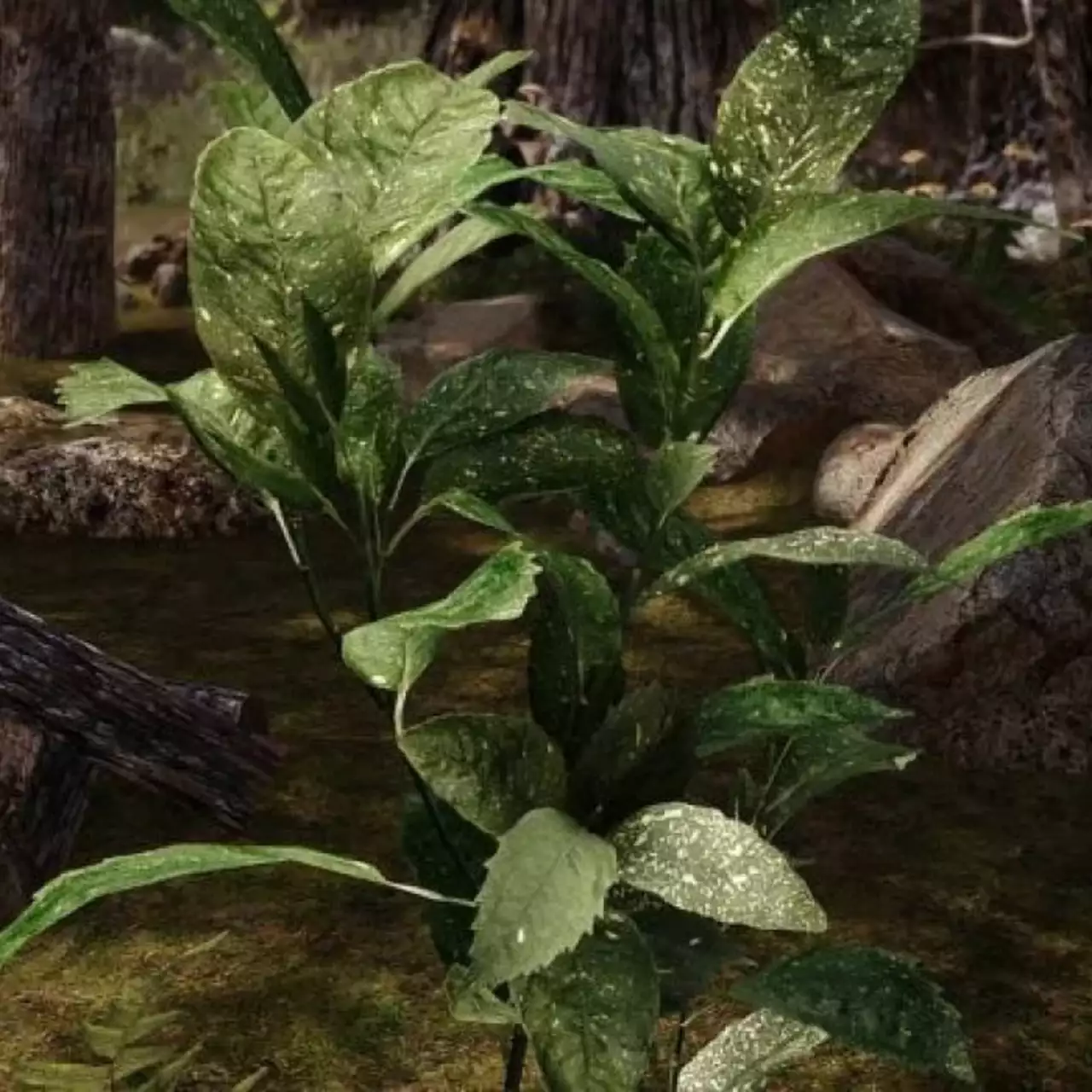 В TES 5: Skyrim добавили уникальные растения и новые HD-текстуры для ландшафта В TES 5: Skyrim добавили уникальные растения и новые HD-текстуры для ландшафта