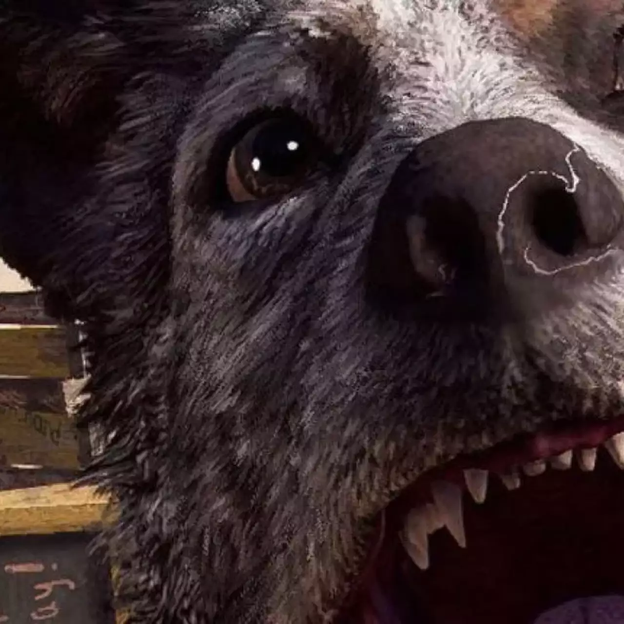 Far Cry 5 обзавелась фоторежимом в крупном обновлении Far Cry 5 обзавелась фоторежимом в крупном обновлении