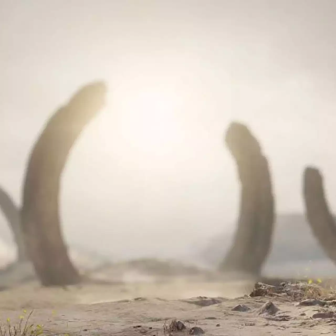 В Halo Infinite не будет режима «королевской битвы» В Halo Infinite не будет режима «королевской битвы»