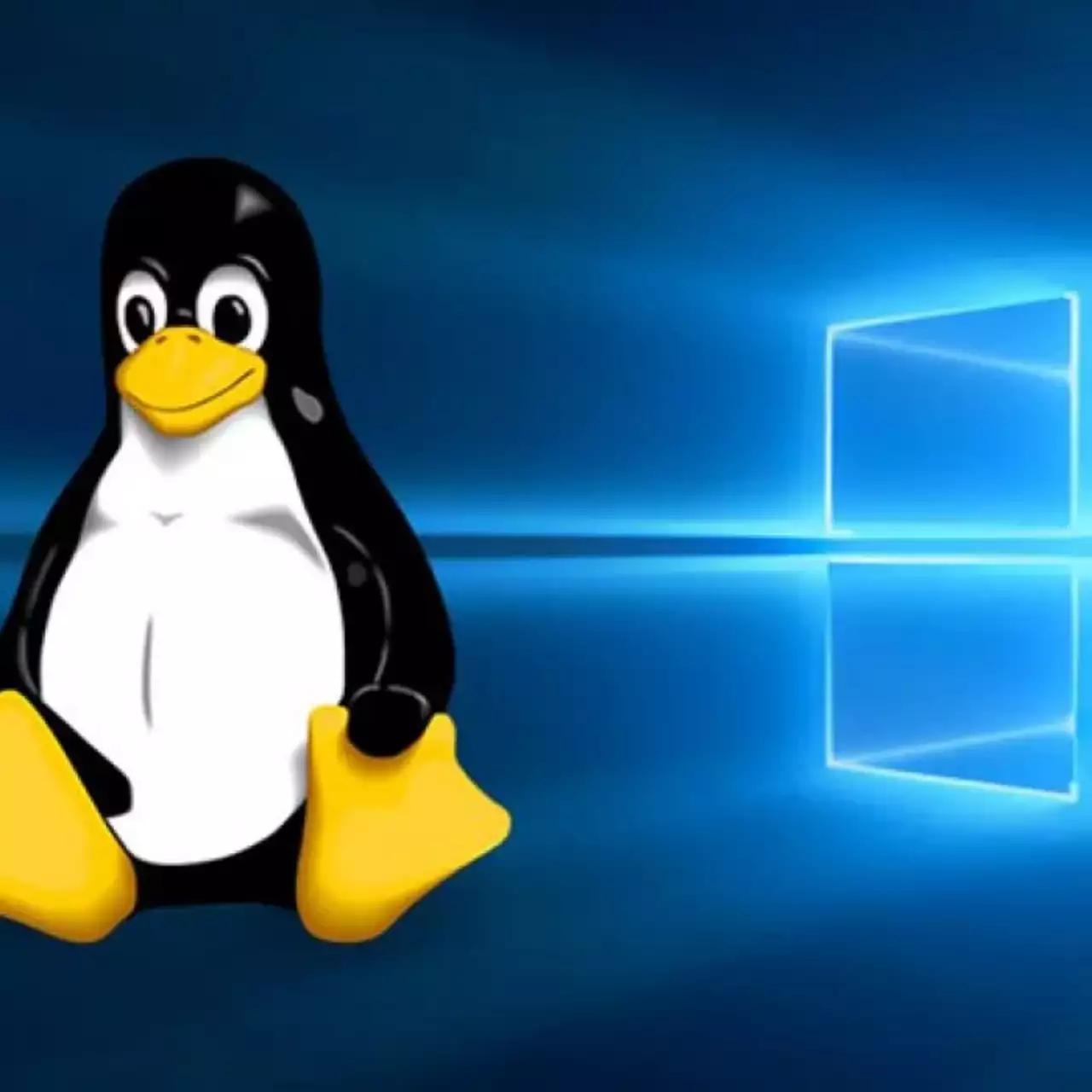 В Steam могут добавить инструменты для запуска игр с Windows на Linux В Steam могут добавить инструменты для запуска игр с Windows на Linux