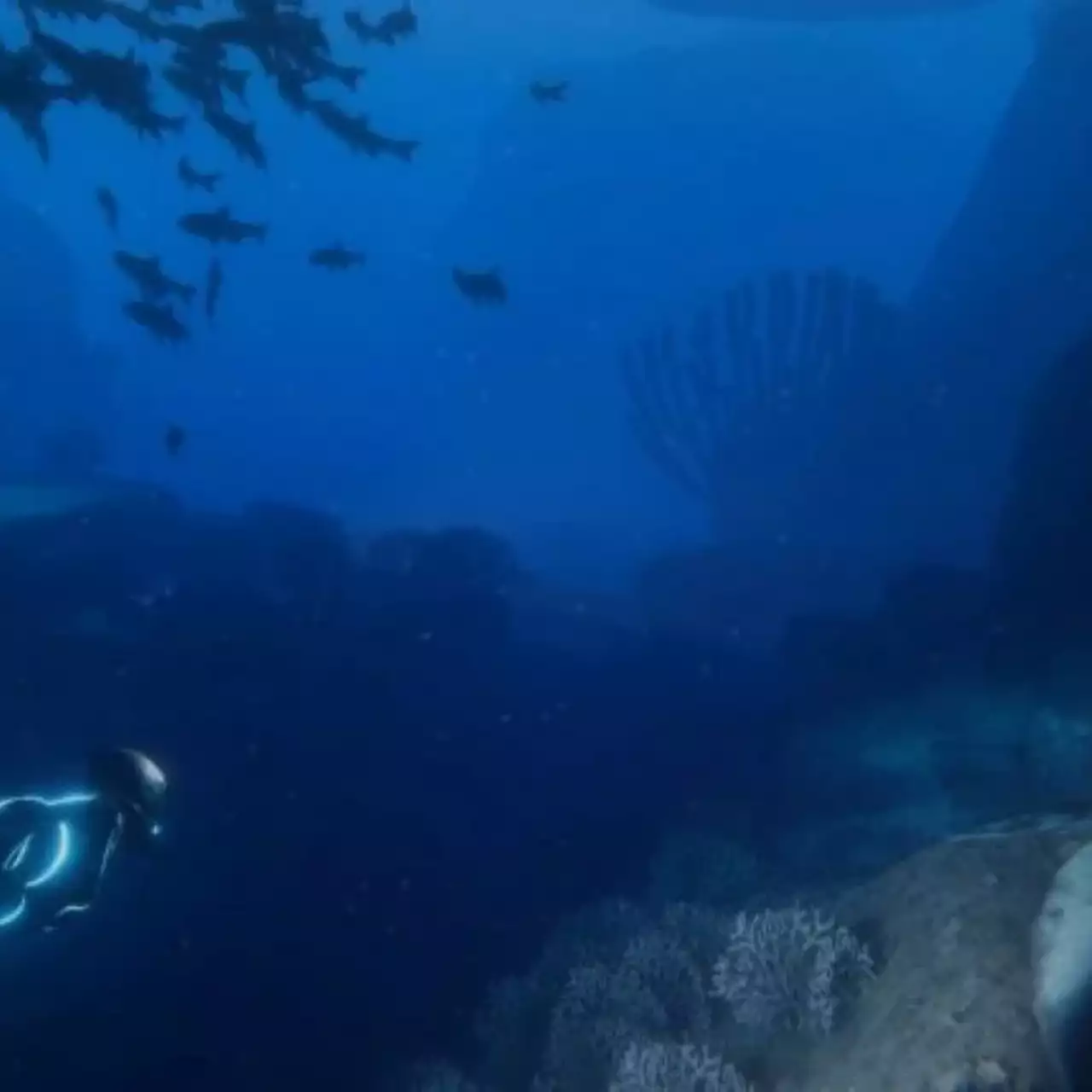 В геймплейном видео Beyond Blue показали красоты подводного мира