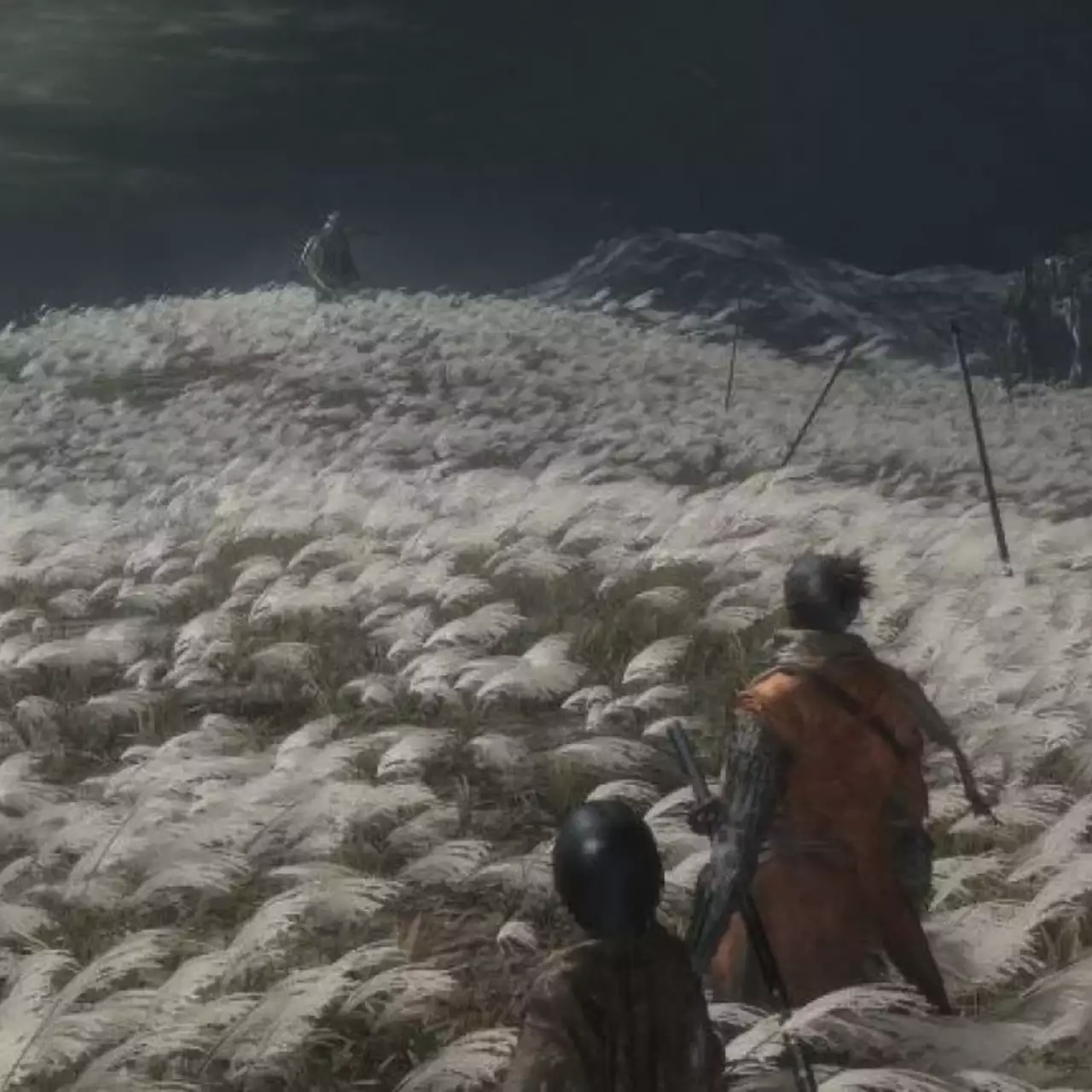 Первый геймплей Sekiro: Shadows Die Twice — Dark Souls с упором на стелс Первый геймплей Sekiro: Shadows Die Twice — Dark Souls с упором на стелс