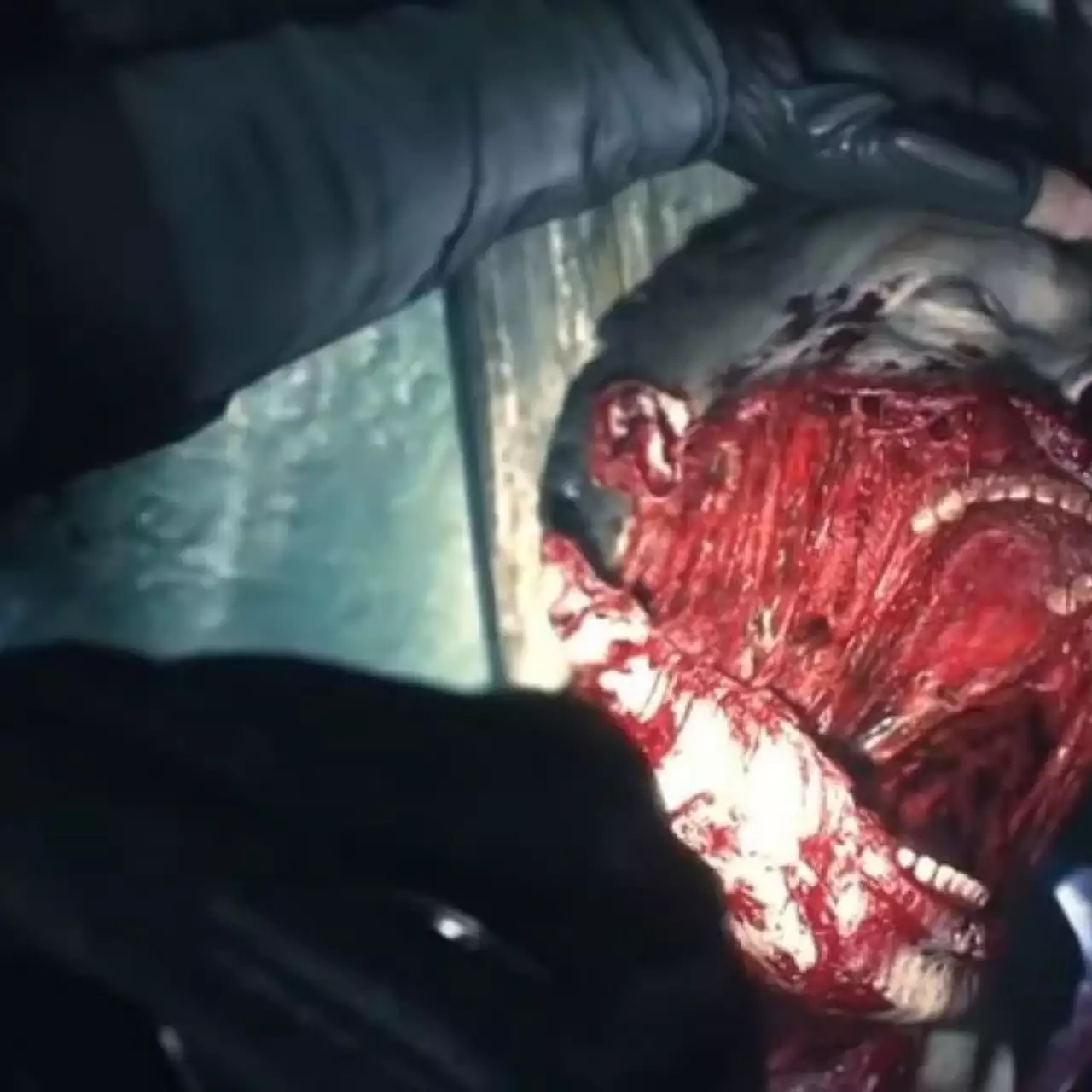 В зацензуренной версии Resident Evil 2 Remake полностью уберут расчлененку (видео) В зацензуренной версии Resident Evil 2 Remake полностью уберут расчлененку (видео)