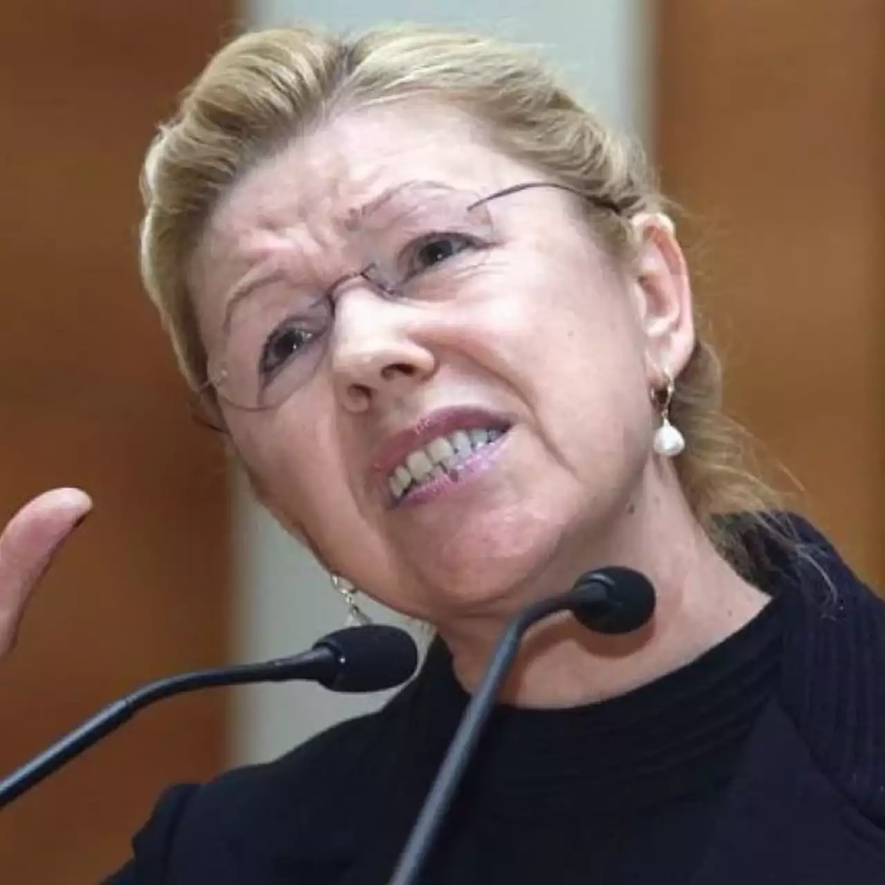 Мизулина предложила штрафовать жестокие игры и соцсети Мизулина предложила штрафовать жестокие игры и соцсети