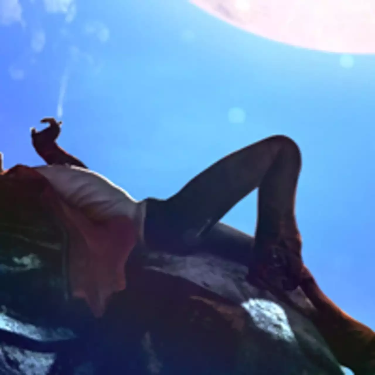 Capcom строго следит за разработкой новой DmC Capcom строго следит за разработкой новой DmC