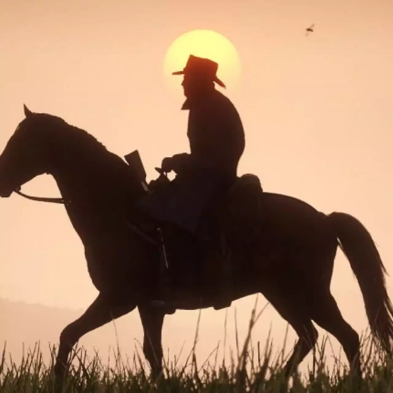 Игроки в Red Dead Redemption 2 нашли секретный проход в Мексику — видео Игроки в Red Dead Redemption 2 нашли секретный проход в Мексику — видео