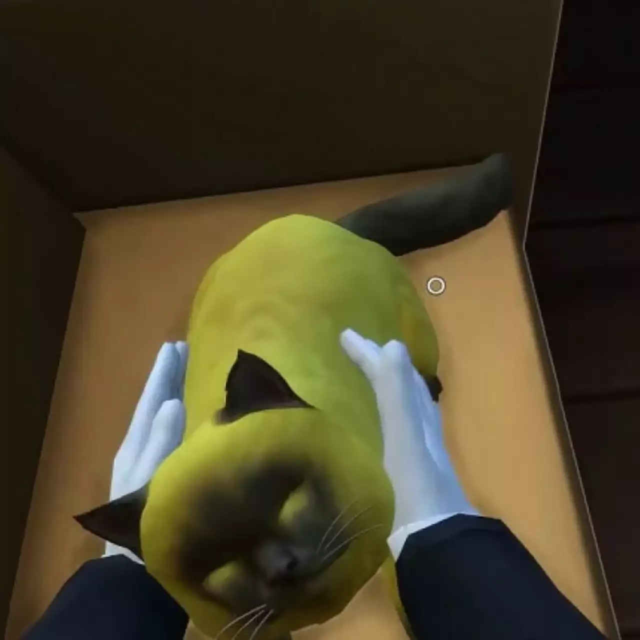 В The Sims 4 появится режим от первого лица. Вот как он выглядит — видео В The Sims 4 появится режим от первого лица. Вот как он выглядит — видео