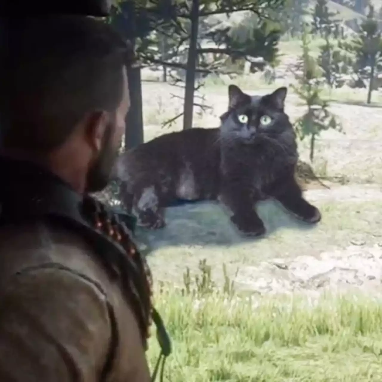 Геймер добавил в Red Dead Redemption 2 своего кота, а тот съел главного героя. Другие игроки заливаются смехом