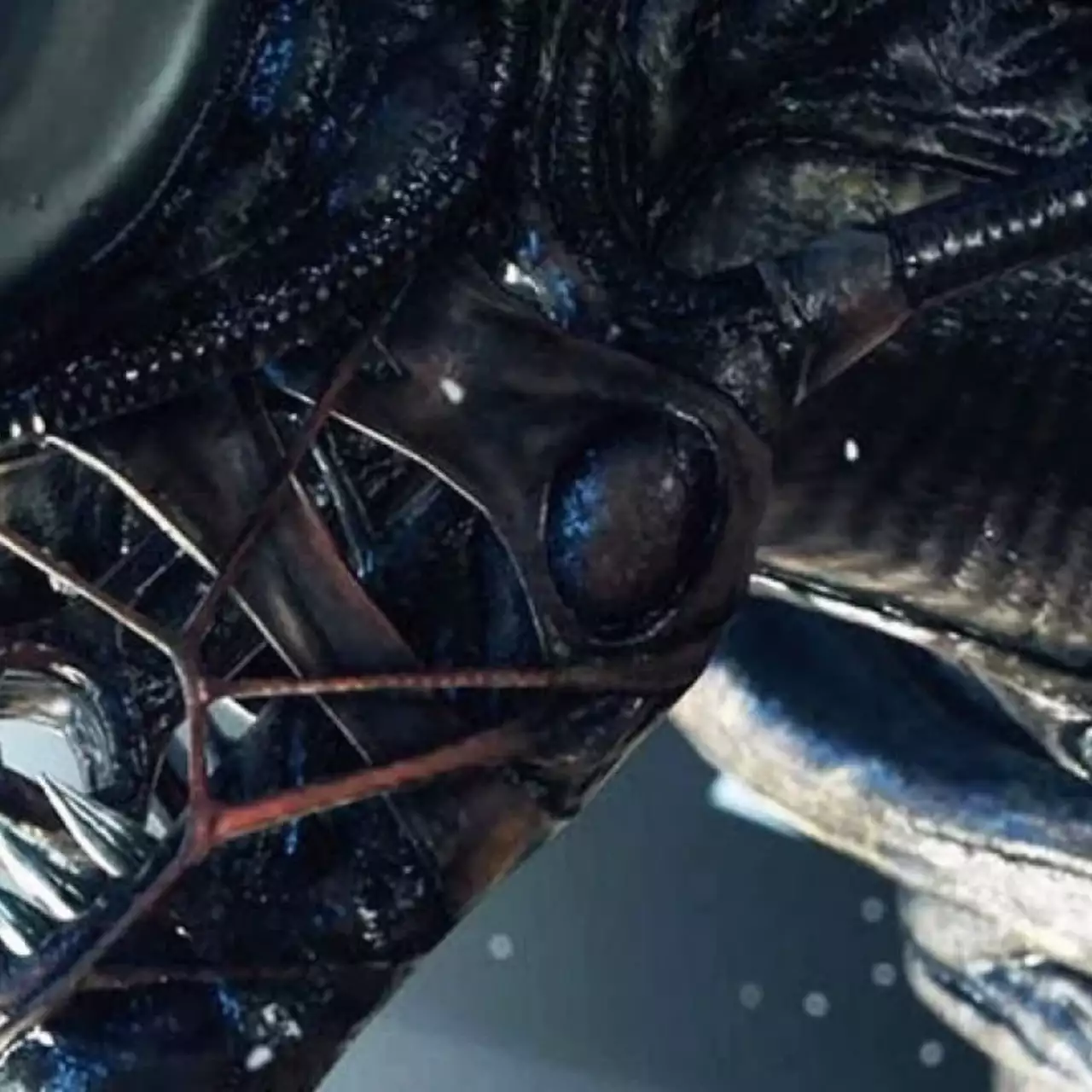 Alien: Blackout анонсирована. Вас ждет жестокое разочарование