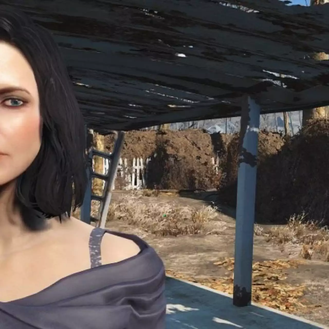 Спидраннер занялся сексом в пяти частях Fallout за 23 минуты и поставил мировой рекорд Спидраннер занялся сексом в пяти частях Fallout за 23 минуты и поставил мировой рекорд