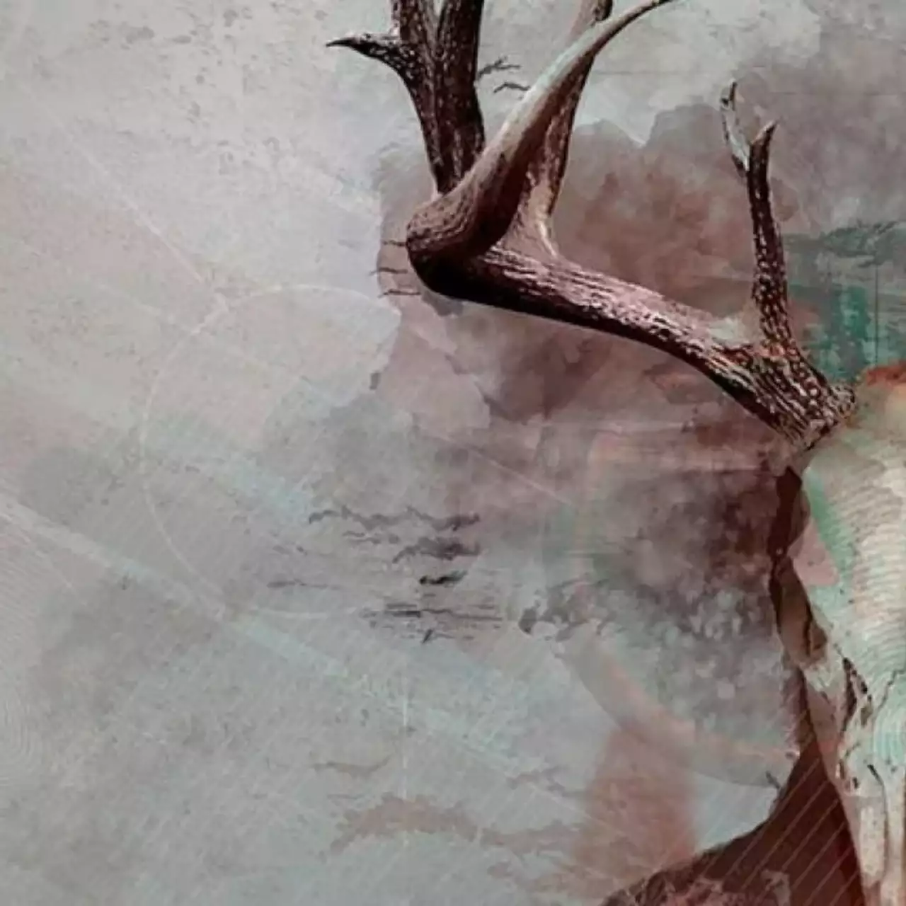 Психологический триллер Intruders: Hide and Seek вышел на PS4