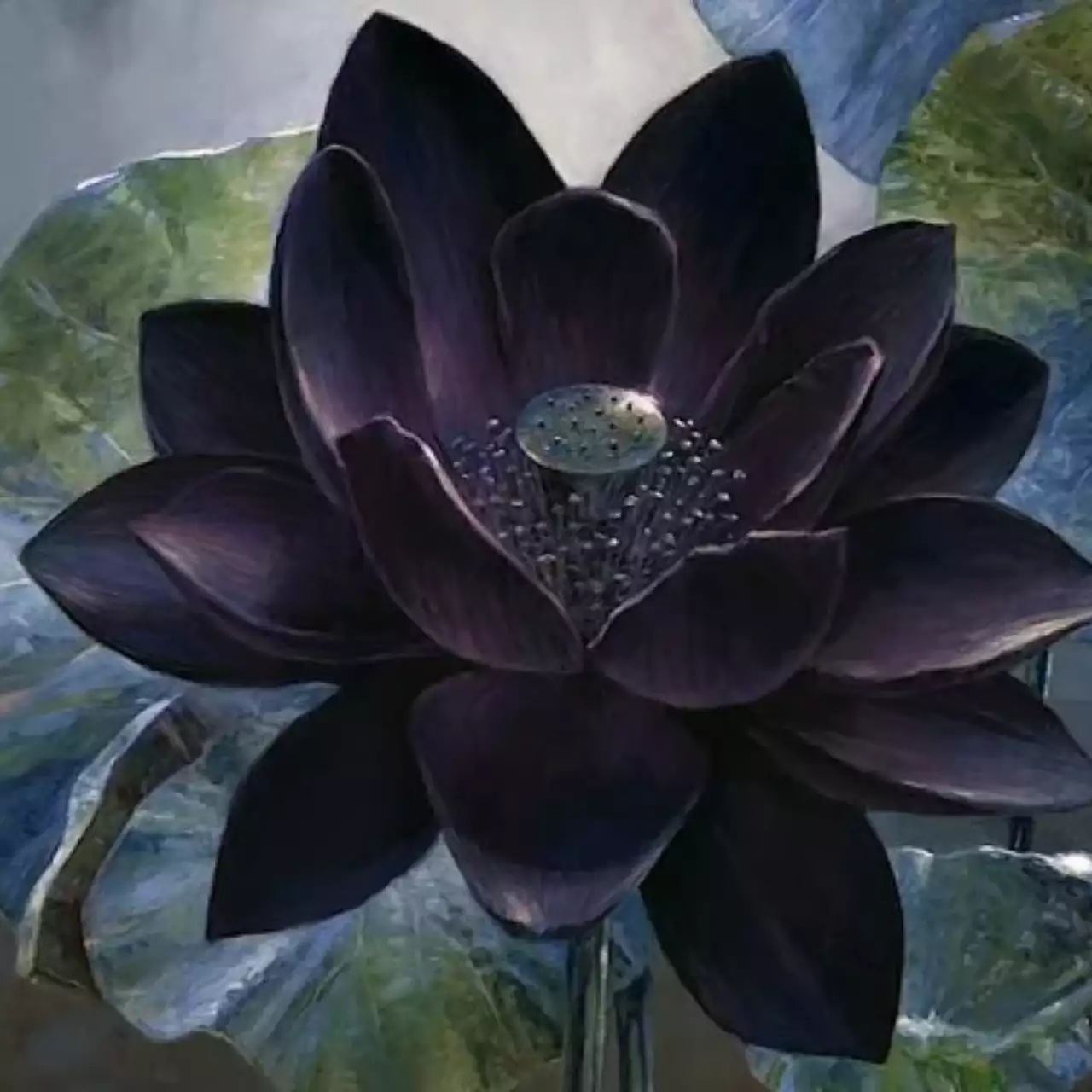 Редкую карту для Magic: The Gathering продали за $166 тыс (11 млн рублей) на аукционе Редкую карту для Magic: The Gathering продали за $166 тыс (11 млн рублей) на аукционе