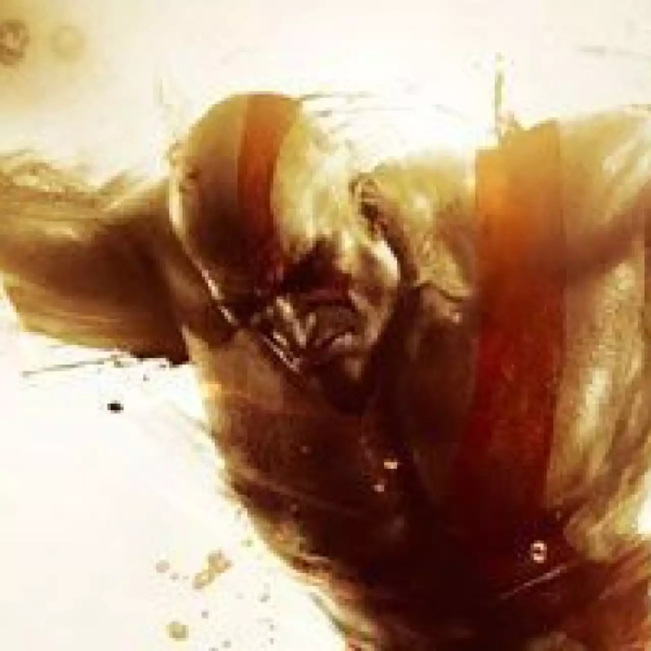 God of War Saga и inFamous Collection God of War Saga и inFamous Collection