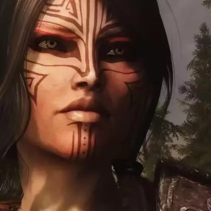 За что мы любим серию TES? Необъятный мир, тысячи квестов, моды и, конечно, МЕМЫ!