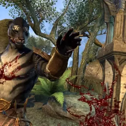 В TES: Blades нельзя назвать свой город «Тодд Говард» и Fallout 76. Игра считает это оскорблением