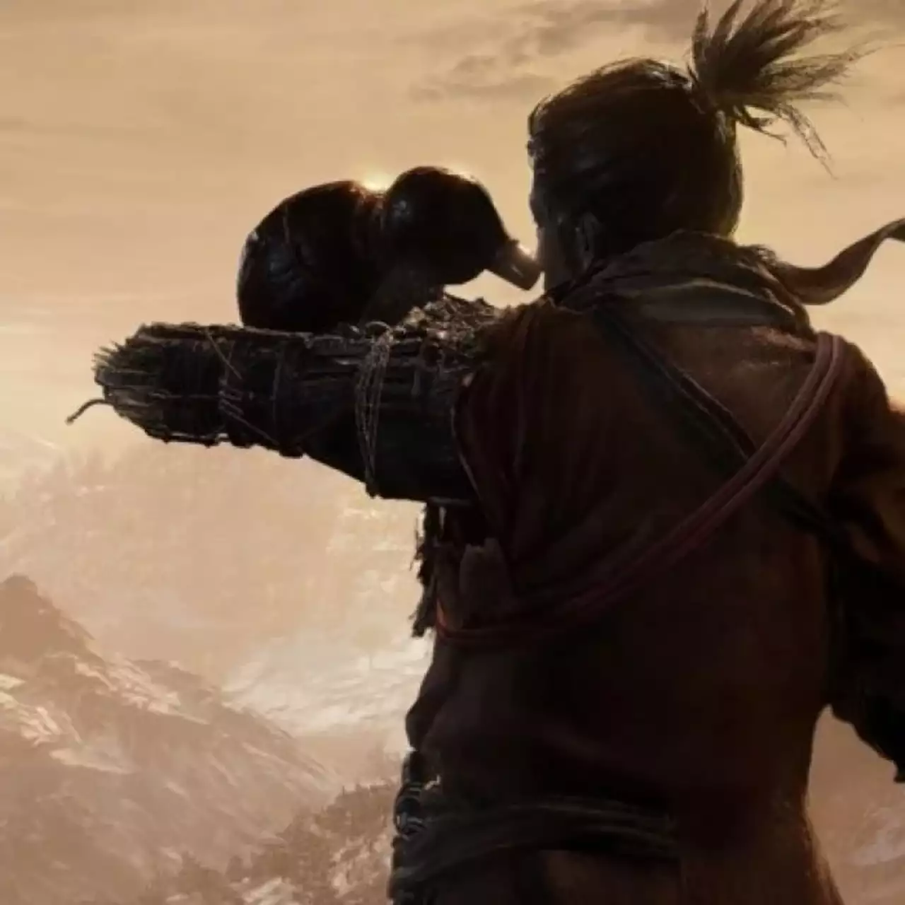 Ютубер придумал новый челлендж для Sekiro: Shadow Die Twice — он убивает всех боссов деньгами Ютубер придумал новый челлендж для Sekiro: Shadow Die Twice — он убивает всех боссов деньгами