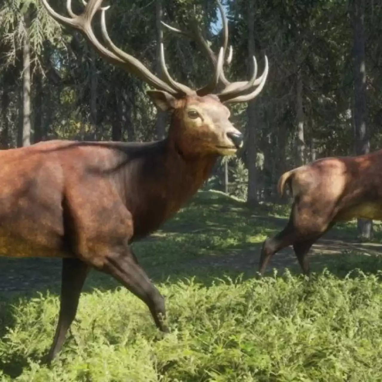 Халява: симулятор охоты theHunter: Call of the Wild стал бесплатным в Steam на несколько дней Халява: симулятор охоты theHunter: Call of the Wild стал бесплатным в Steam на несколько дней
