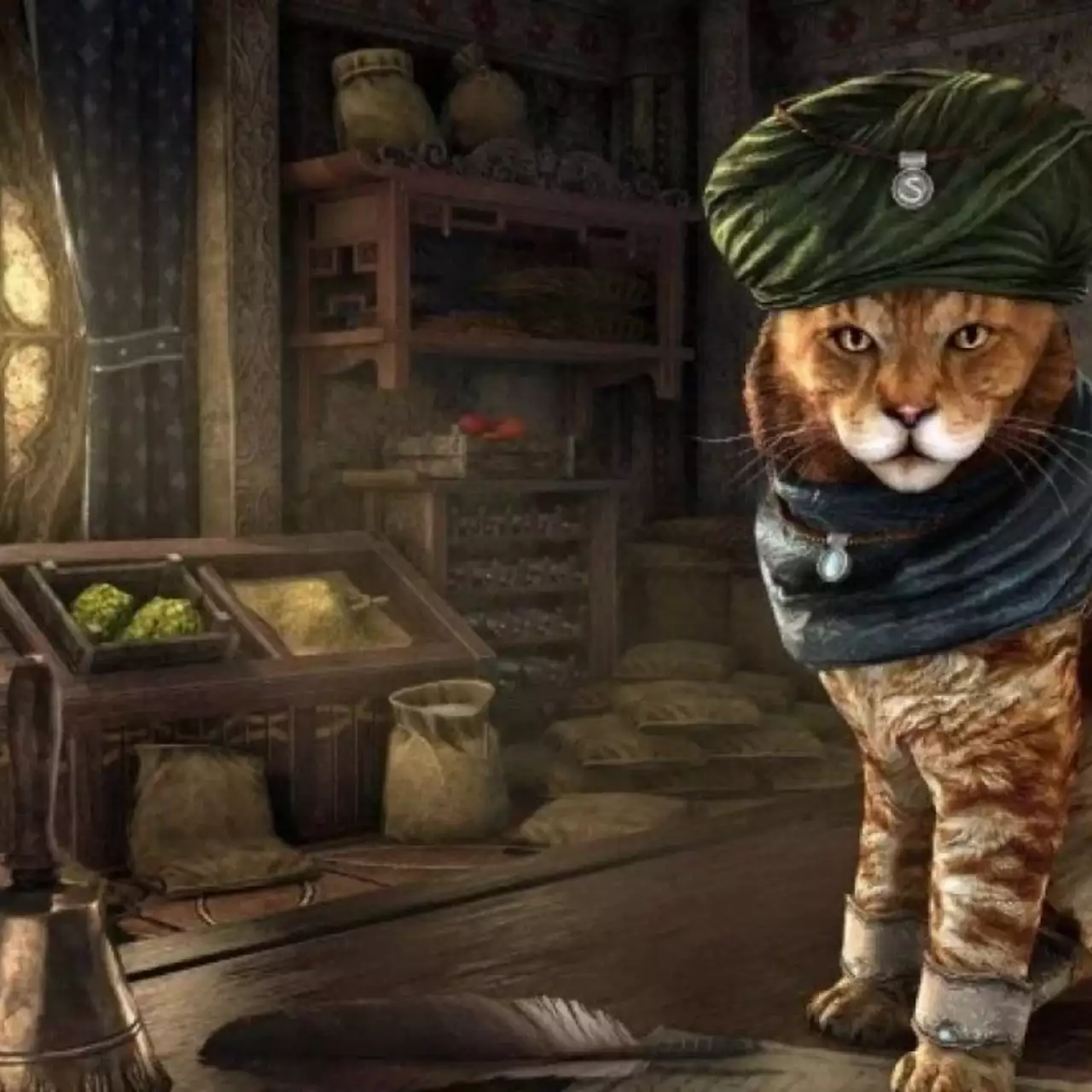 Bethesda поможет уличным котам найти новый дом Bethesda поможет уличным котам найти новый дом