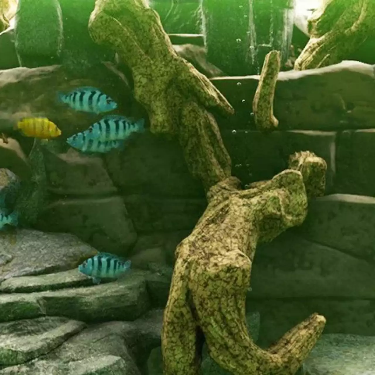 В Steam выйдет симулятор аквариума с фотореалистичной графикой Biotope — трейлер и скриншоты В Steam выйдет симулятор аквариума с фотореалистичной графикой Biotope — трейлер и скриншоты