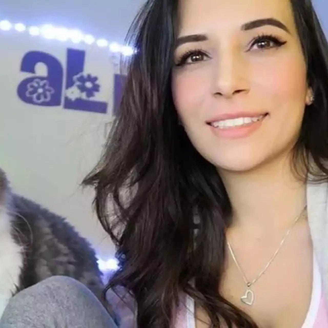 Свыше 15 тыс человек просят Twitch забанить стримершу, которая поила свою кошку водкой Свыше 15 тыс человек просят Twitch забанить стримершу, которая поила свою кошку водкой