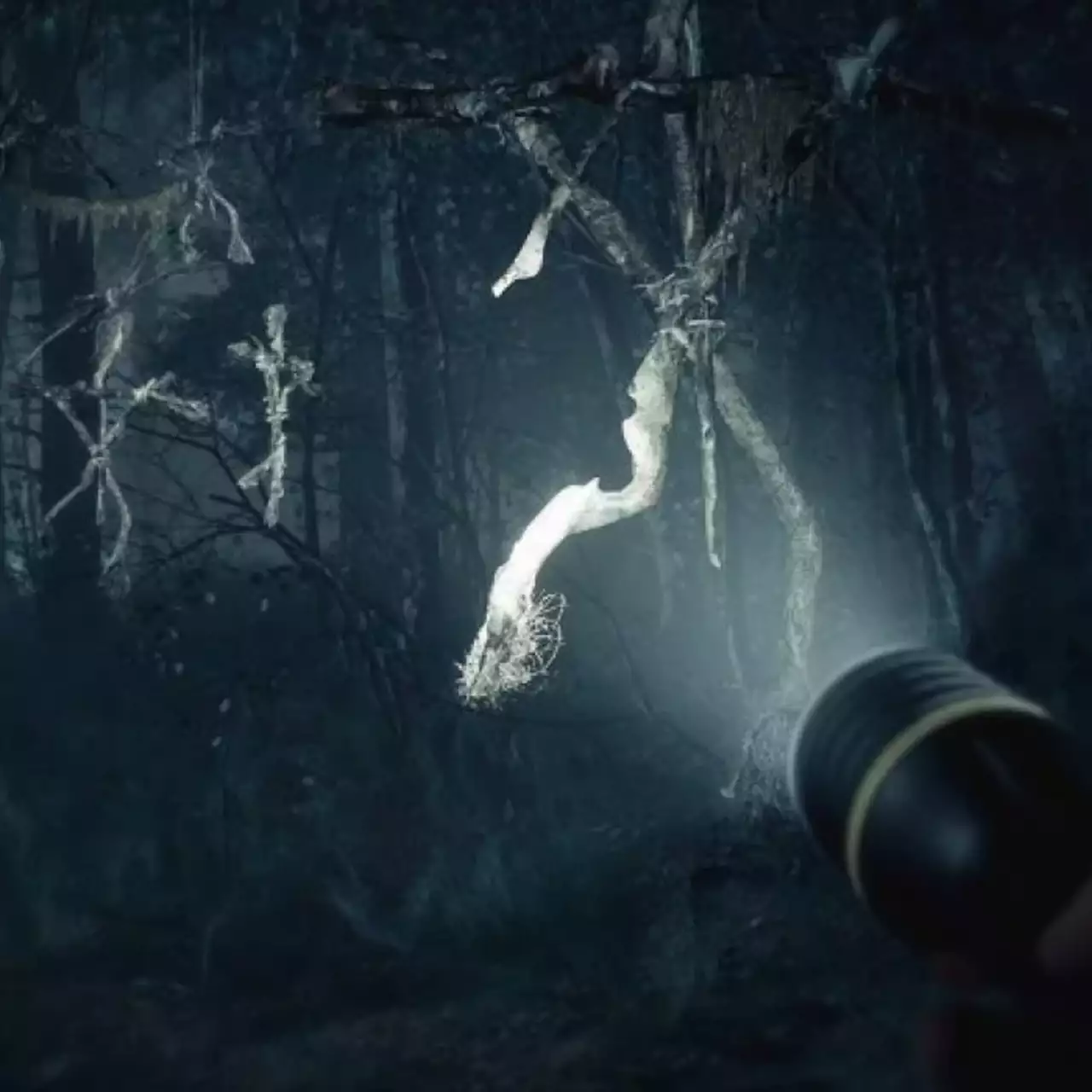 Вышло 11 минут геймплея хоррора Blair Witch — тёмный лес, монстр и возможность погладить собаку Вышло 11 минут геймплея хоррора Blair Witch — тёмный лес, монстр и возможность погладить собаку