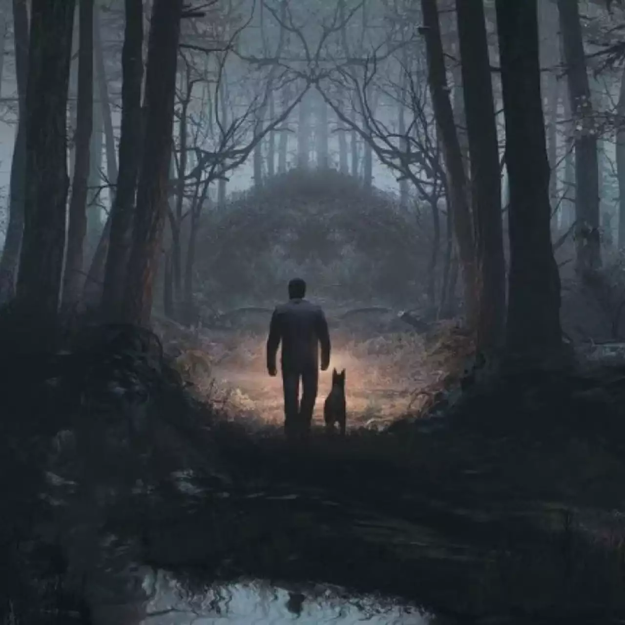 Хоррор Blair Witch не выйдет в GOG в день релиза, за предзаказы уже вернули деньги Хоррор Blair Witch не выйдет в GOG в день релиза, за предзаказы уже вернули деньги