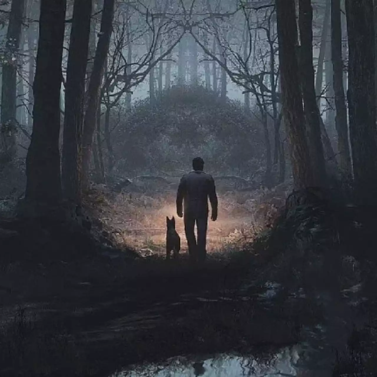 Пугающе красиво — новый трейлер Blair Witch в 4К Пугающе красиво — новый трейлер Blair Witch в 4К