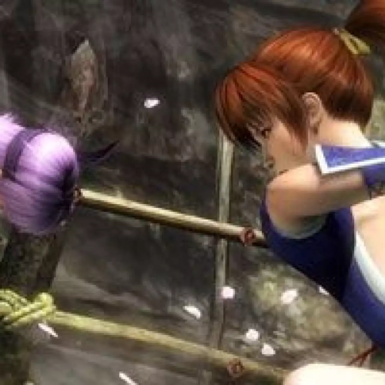 Разработчики Dead or Alive 5 грозятся сделать игру сексуальней, чем когда-либо Разработчики Dead or Alive 5 грозятся сделать игру сексуальней, чем когда-либо