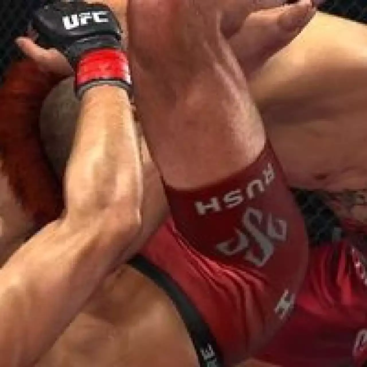 THQ официально анонсировала UFC Undisputed 3