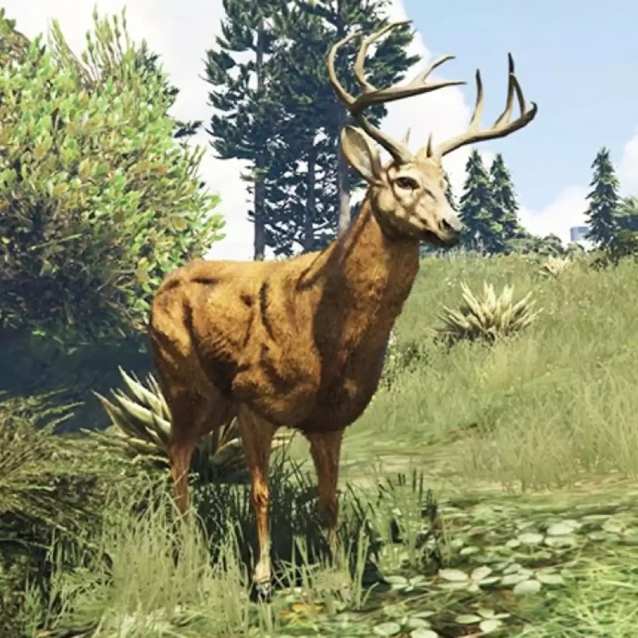 Игроки GTA Online нашли новую забаву — они превращаются в оленей и других животных