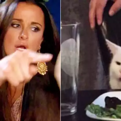 Смешные коты, Рикардо Милос и лягушонок Пепе — показаны самые популярные мемы десятилетия