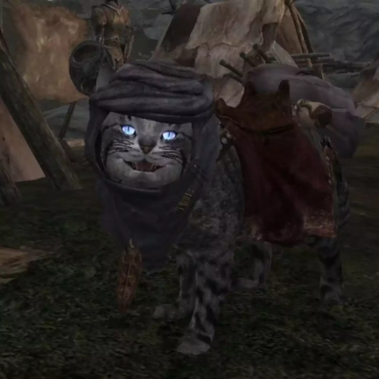 В Skyrim добавили милых котиков Альфиков-компаньонов В Skyrim добавили милых котиков Альфиков-компаньонов