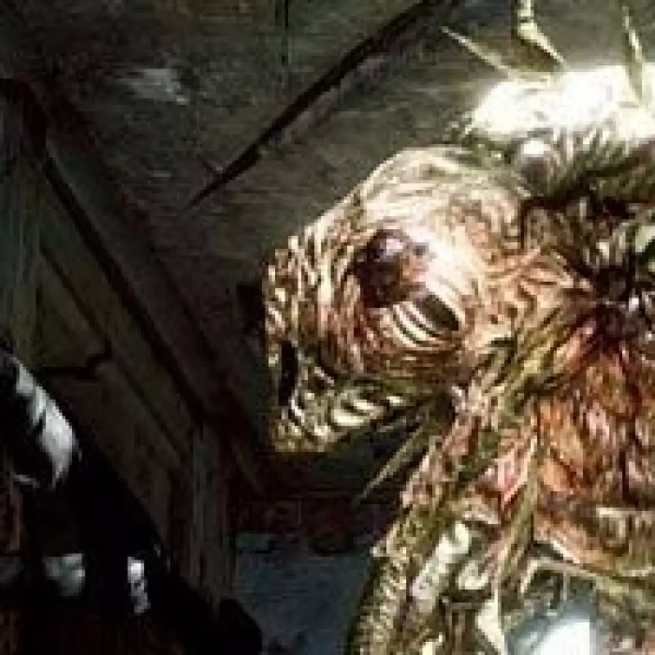 Resident Evil 6: «Больше нет надежды»