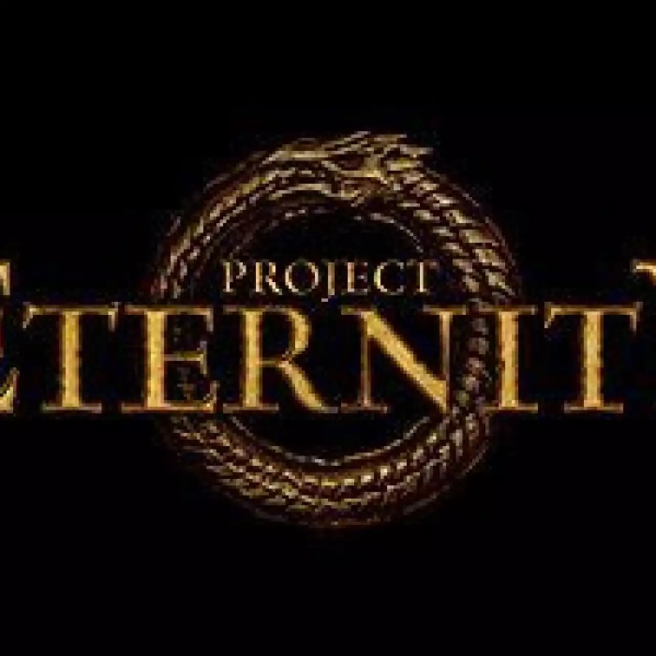 Project Eternity собрала 2 млн. долларов