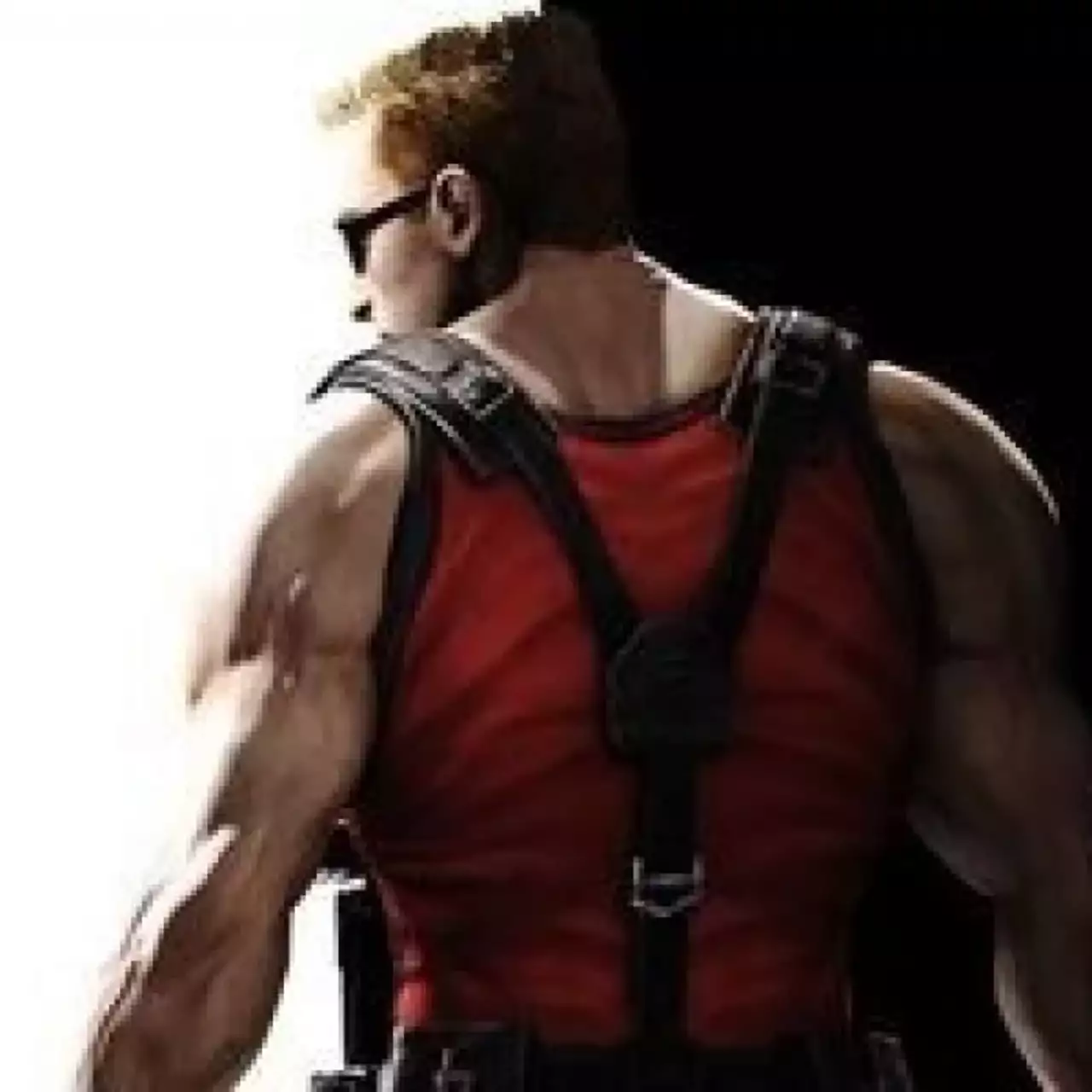 Слухи: В файлах демки Duke Nukem Forever найдена информация о трёх дополнениях Слухи: В файлах демки Duke Nukem Forever найдена информация о трёх дополнениях