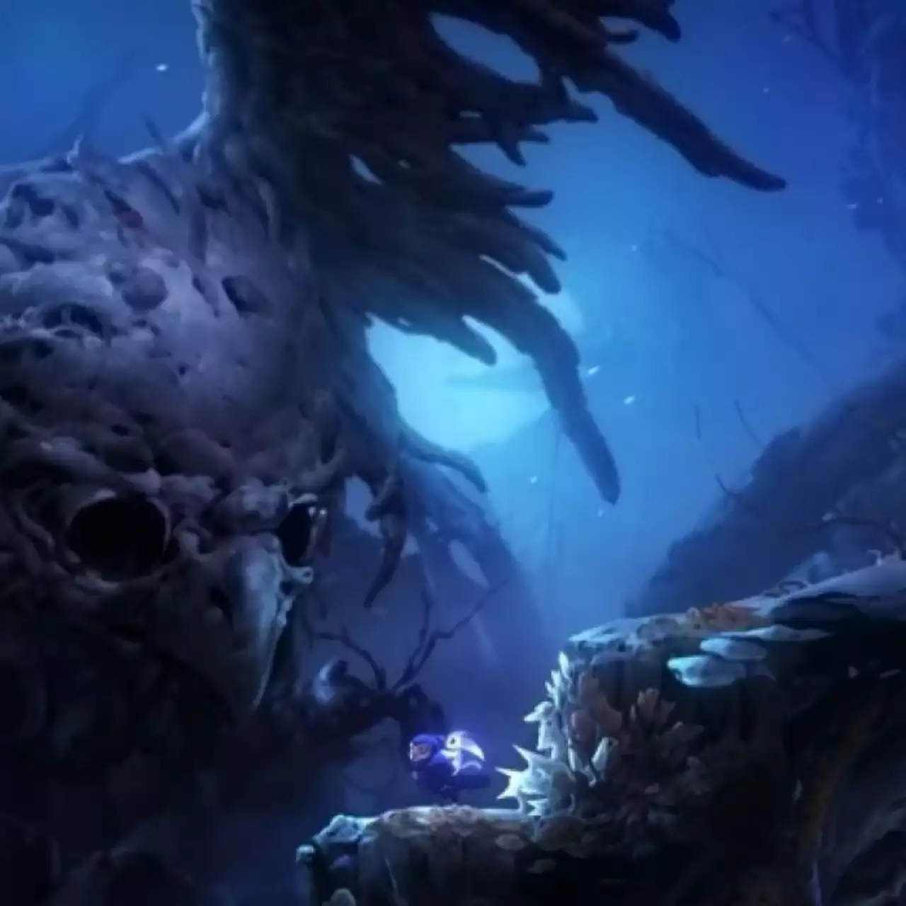 Карта локации «Тихий лес» в Ori and the Will of the Wisps с расположением важных предметов