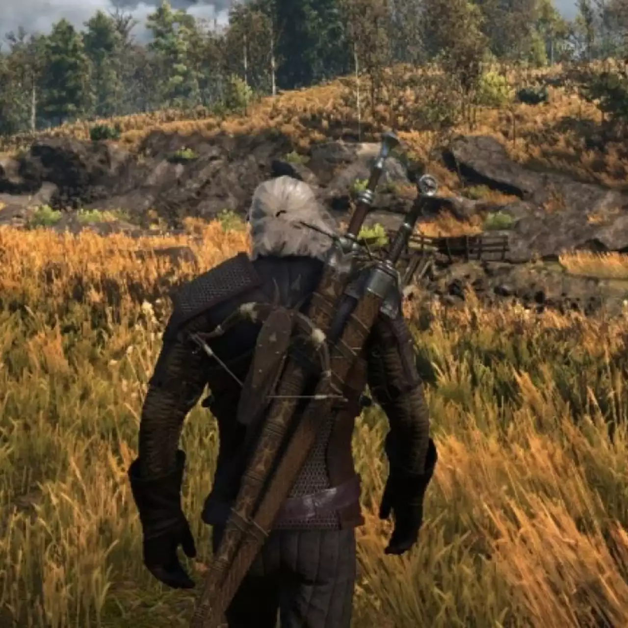На видео показали, как выглядит графика Witcher 3 сразу с несколькими модами на ультрах в 4K На видео показали, как выглядит графика Witcher 3 сразу с несколькими модами на ультрах в 4K