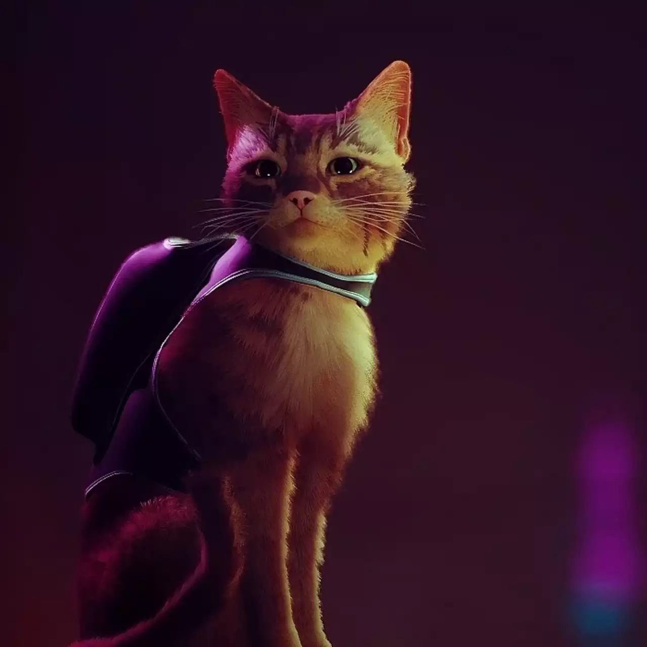 Состоялся анонс Stray — игры про котика в мире киберпанка
