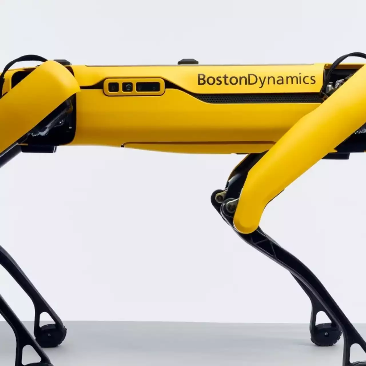 По цене Теслы: робопёс от Boston Dynamics появился в продаже По цене Теслы: робопёс от Boston Dynamics появился в продаже