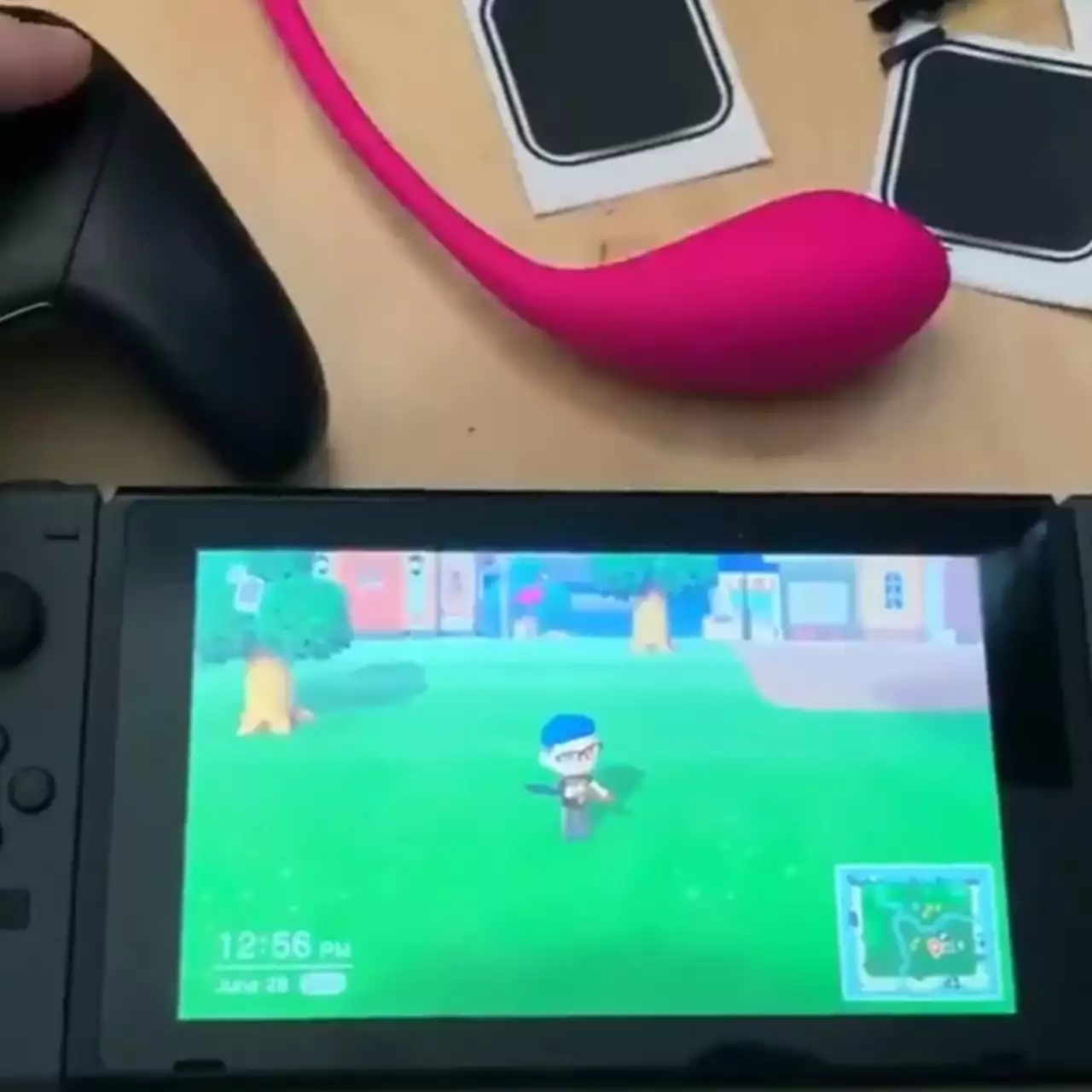 Фанат превратил Switch в секс-игрушку Фанат превратил Switch в секс-игрушку
