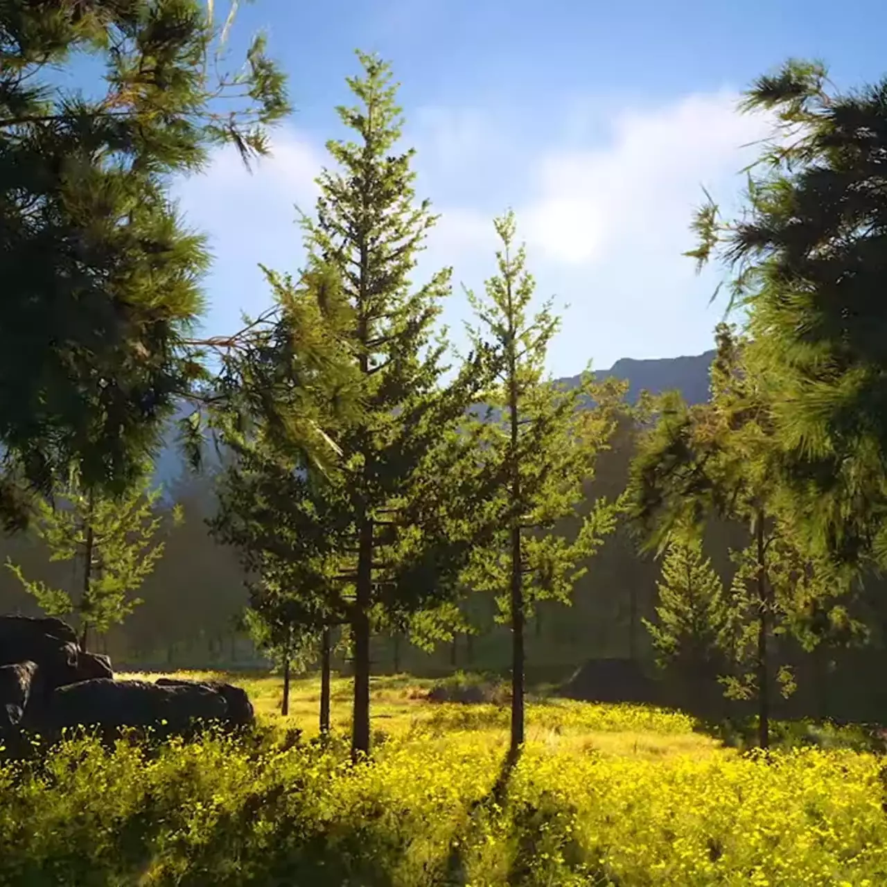 Square Enix показала, каким красивым может получиться открытый мир в игре на ее движке Square Enix показала, каким красивым может получиться открытый мир в игре на ее движке