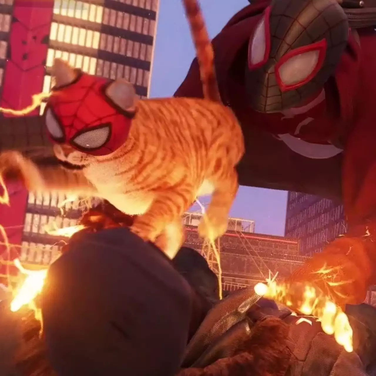 Милый котик по имени Человек-паук разносит врагов в новом ролике Spider-Man: Miles Morales Милый котик по имени Человек-паук разносит врагов в новом ролике Spider-Man: Miles Morales