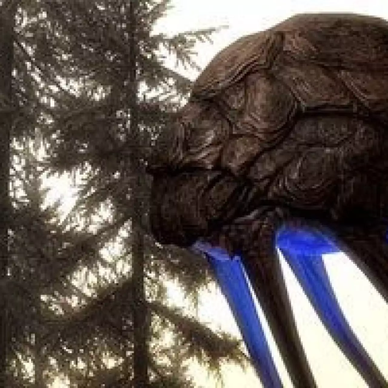 Подробности и скриншоты The Elder Scrolls 5: Skyrim — Dragonborn Подробности и скриншоты The Elder Scrolls 5: Skyrim — Dragonborn