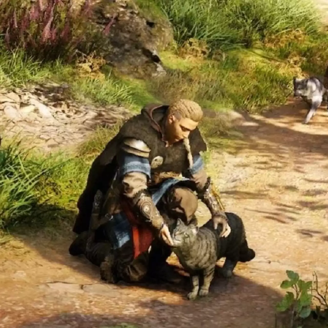 Как получить кота-рейдера на свой драккар в Assassin's Creed Valhalla