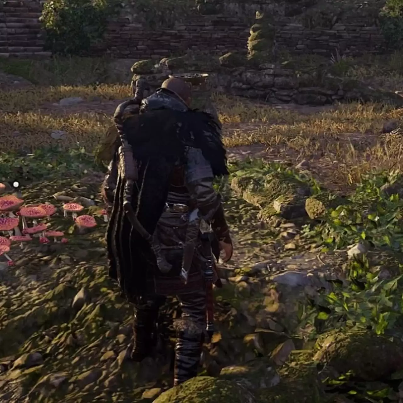 Как решить секретную головоломку с мухомором Грентебриджшира в Assassin's Creed Valhalla