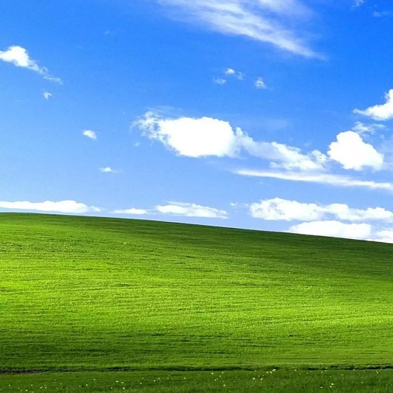 «Уродливые» новогодние свитеры с логотипами Windows XP и Paint от Microsoft уже можно купить. А какой выберешь ты? «Уродливые» новогодние свитеры с логотипами Windows XP и Paint от Microsoft уже можно купить. А какой выберешь ты?