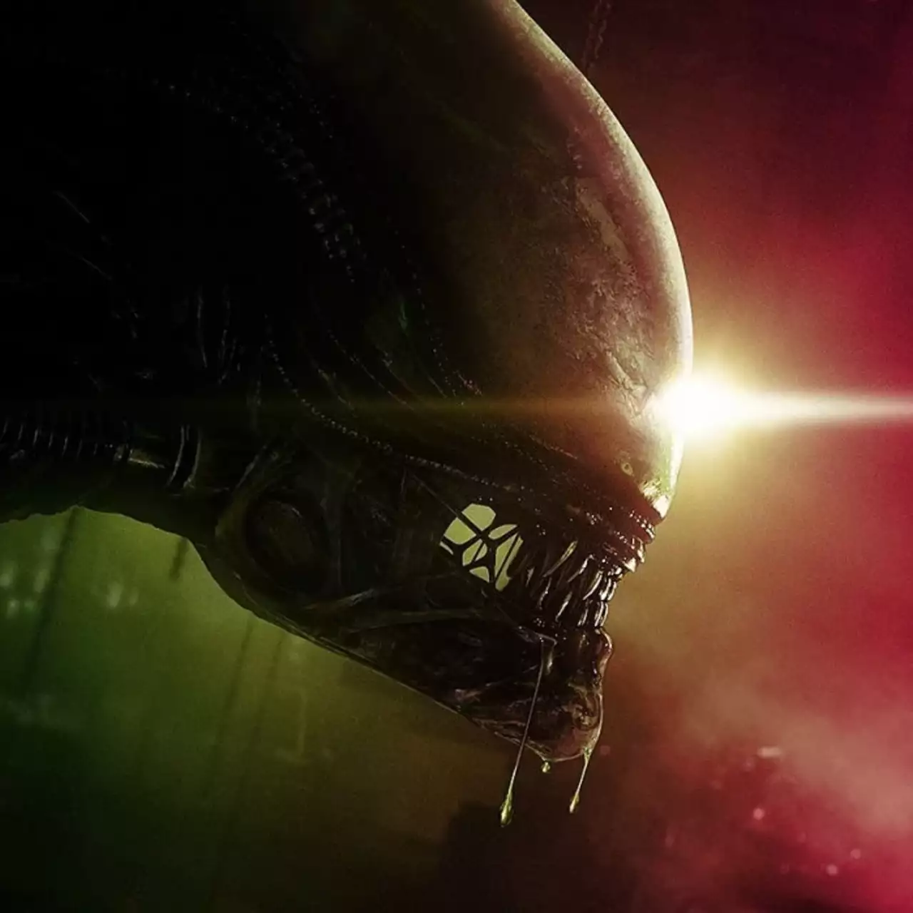 Халява: на ПК бесплатно раздают хоррор Alien: Isolation, а завтра подарят Metro 2033 Халява: на ПК бесплатно раздают хоррор Alien: Isolation, а завтра подарят Metro 2033