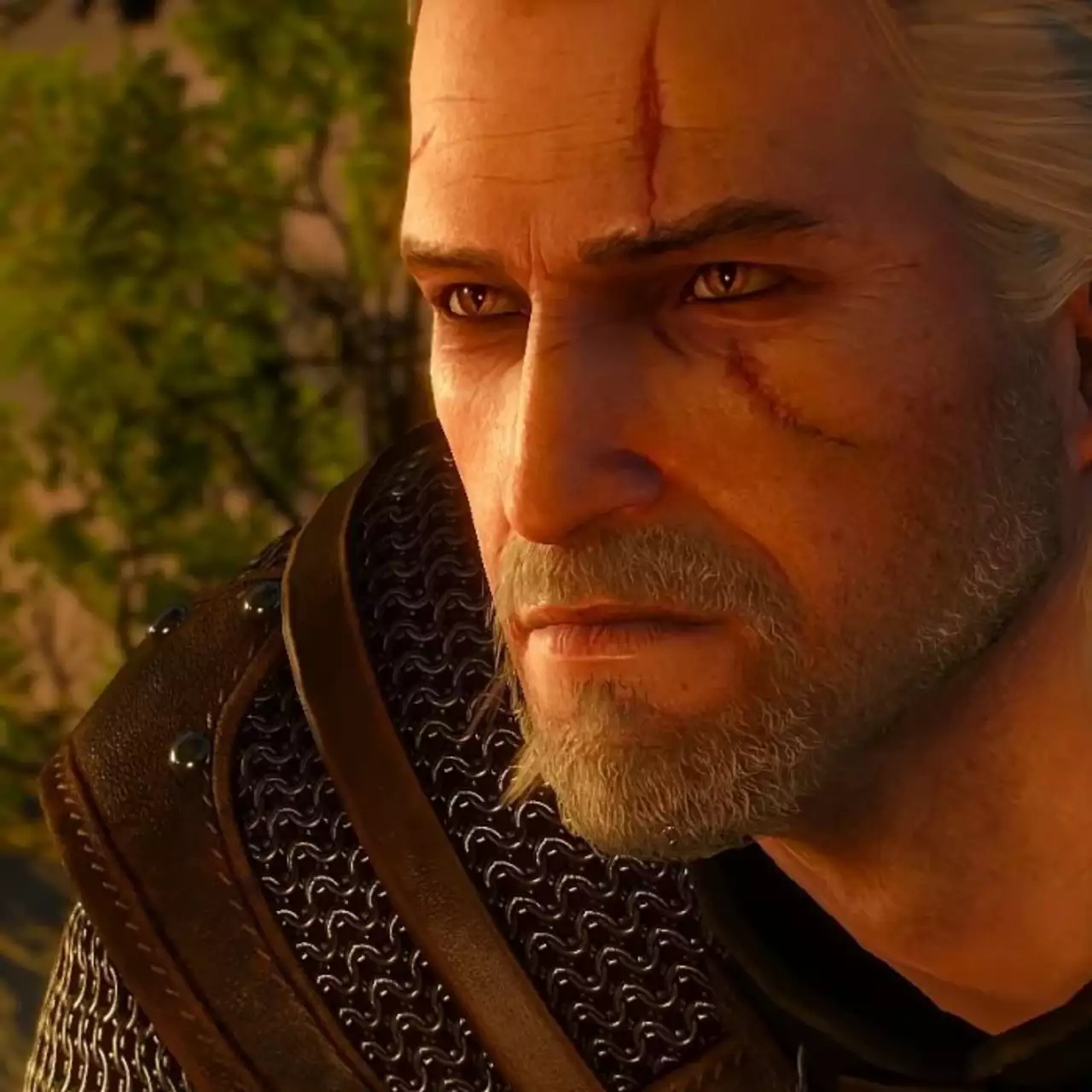 Фанат добавил в Skyrim ведьмачье оружие, зелья и врагов из The Witcher 3